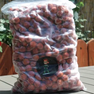 Frozen Boilie Nectar Fruit 2.5 KG